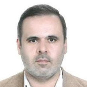 دکتر محمد مهدی مهتدی